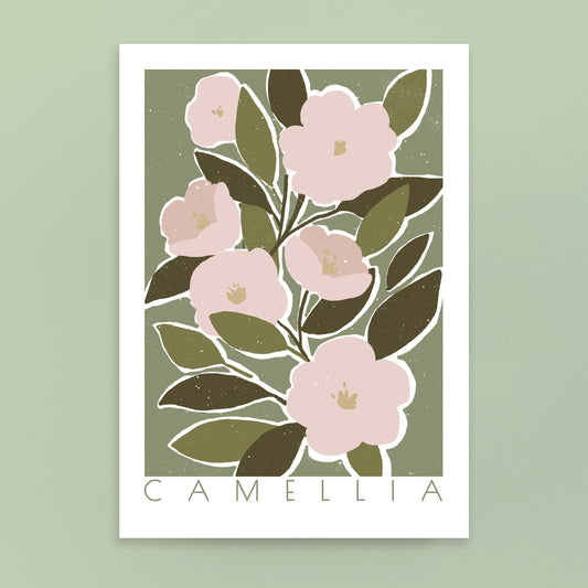 Camellia A4 Art Print
